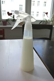 Fensterputzen Mit Wow Effekt Fenster Putzen Spiegel Reinigen Fenster Putzen Tipps