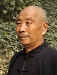 Tai Chi style Chen Xiaojia Vidéos (Taijiquan 陈氏太极拳小架)