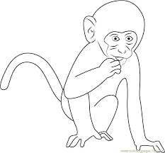Letter m monkey printable activities. Monkey Coloring Page For Kids Free Monkey Printable Coloring Pages Online For Kids Coloringpages101 Com Coloring Pages For Kids
