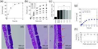 We did not find results for: Electrothermal Patches Driving The Transdermal Delivery Of Insulin Nanoscale Horizons Rsc Publishing