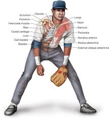 Image result for Chest Trauma