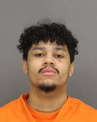 February 19th, 2025 No Mugshot: NATHANIEL WESLEY CARTER * Disorderly  Conduct (M)