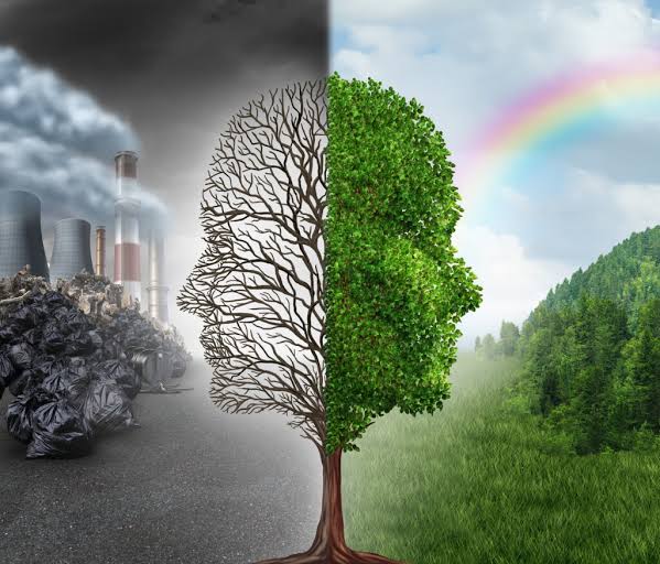 Environment, Health, Safety - Gweka