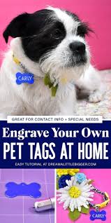 Design an id tag with your pet's name and contact details to ensure they will always come home safely. Diy Floral Dog Collar Engraved Pet Tags Using New Cricut Maker Tools Dream A Little Bigger