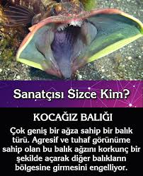 Allah In Sanatini Aklini Tum Dunya Gorsun Allah A Hizmet Biliyor Muydunuz Hayvanlar Ilham Veren Alintilar