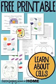 Plant And Animal Cell Printables Grades 4 6 Science Cells 6th Grade Science Animal Cell