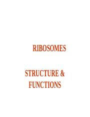 Check spelling or type a new query. Ribosomes 1 Ppt Ribosomes Structure Functions First Isolated From Cell Cytoplasm By A Claude 1943 Term Ribosomes Was Coined By G Palade 1955 Also Course Hero