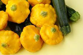 Which yellow vegetable goes with zucchini. How To Harvest And Store Summer Squash Harvest To Table