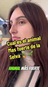 Cual es el animal mas fuerte de la selva #usa🇺🇸 #estadosunidos #reaction
