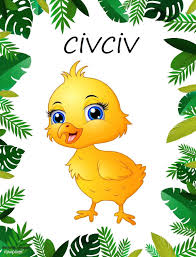 Civciv 2020 Hayvan Kartlari Hayvanlar Hayvan