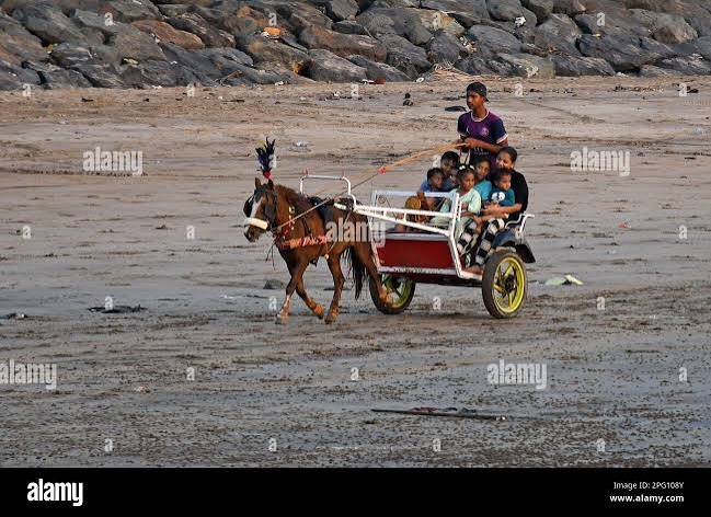 Horse cart mumbai india hi-res stock photography and images - Alamy