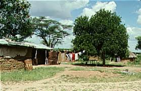 Image result for Dobera