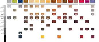 redken semi permanent hair color chart sbiroregon org