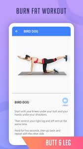 Knee Workout At Home The Guide Ways