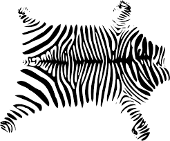 Rug Clipart Black And White Png Zebra Rug Clip Art Rug Clip Art Vector Clip Art Online Royalty Free Public Domain Clip Art Zebra Zebra Rug