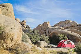 Maybe you would like to learn more about one of these? Joshua Tree Camping What You Need To Know Local Adventurer