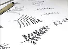 This book provides a thorough and expert guide to the subject of botanical drawing, through detailed text, examples of the authors own studies, short exercises and larger projects. Botanical Line Drawing Peggy Dean Skillshare