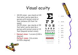 Visual Acuity 20 20 Vision See Clearly At 20 Feet What Can Be Seen By A Person With Normal Vision At That Distance 20 Feet Far Away Normal Visual Person