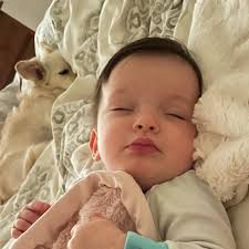 Kimberly Vandenberg (@kimswim) • Instagram photos and videos