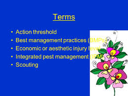 This tool is especially useful when starting a new business or entering a. Horticulture Science Unit A Horticulture Cd Understanding Integrated Pest Management Problem Area Ppt Download