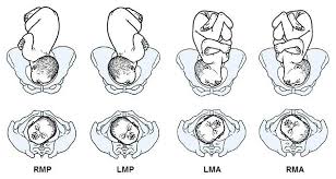 Image result for Face Presentation