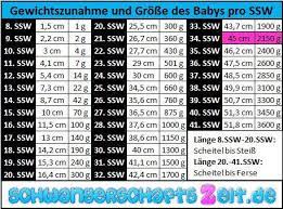 34 Ssw Entwicklung Gewichtszunahme Senkwehen