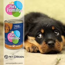 Pet S Family Panosundaki Pin