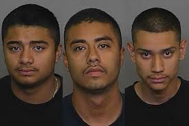 7 indicted in metro auto-theft ring