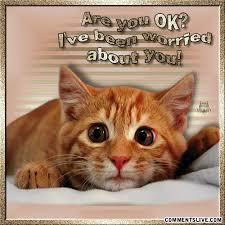 Commentslive Com Concerned Pictures Images Graphics Comments Feel Better Funny Get Well Quotes Get Well Soon Quotes