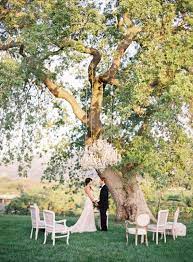 4 Ideas For Small Wedding Ceremony Seating The Snapknot Blog Small Weddings Ceremony Wedding Ceremony Seating Willow Tree Wedding
