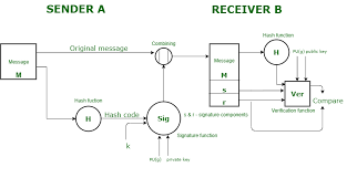 It is common practice for. Digital Signature Standard Dss Geeksforgeeks