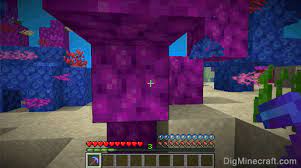 Maybe you would like to learn more about one of these? How To Make A Tube Coral Fan In Minecraft
