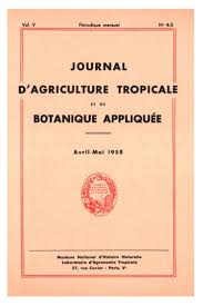 Image result for Elytrophorus globularis