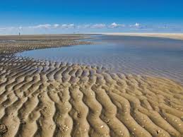 Ihr wollte mehr über die schutzstation wattenmeer auf sylt erfahren? Wattwandern Ab Sylt Adler Schiffe