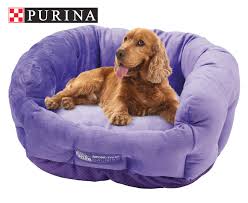 Snooza calming dog beds are the perfect beds to calm, soothe and relax your pet. Calming Dog Beds In Australia Dog In Bed