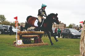 How An $80 Plough Horse Became A Legend In American Equestrian Circles |  Daily Telegraph