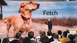 Our privacy policy has been updated, if you agree to our policy, please continue to our site. Amazon Alexa Gets Samuel L Jackson And Other Celebrity Voices Bbc News