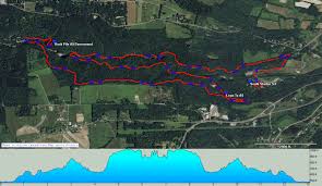 Monster Marathon and Half Marathon 2018