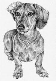 Black And White Dachshund Drawing Dachshund Clube Arte Dachshun Dachshund Clube Arte Dachshund Dachshund Drawing Dachshund Tattoo Dog Drawing