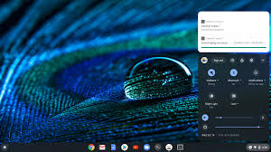 This is what chrome os users are asking for, google! Play Genshin Impact On A Chromebook Crosxperts
