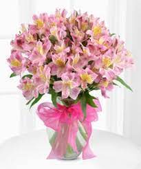 Check spelling or type a new query. Lily Vase Of Alstroemeria By Beneva Flowers In Sarasota Srq Pinkflowers Flower Delivery Get Well Soon Flowers Lily Vases