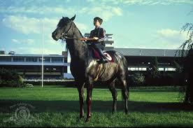 J.mp/1bdkmds don't miss the hottest new. Watch The Black Stallion On Netflix Today Netflixmovies Com