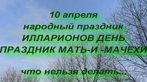 До конца года остается 265 дней. 10 Aprelya Narodnyj Prazdnik Illarionov Den Prazdnik Mat I Machehi Narodnye Primety Youtube