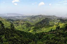 All About Jamaica Travel Authorization Process During Covid 19