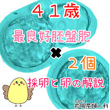 41 歳 体外 受精 ブログ