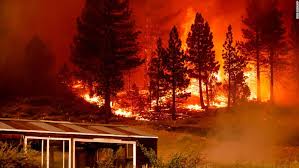 Yangın sprink, gazlı, ve davlumbaz söndürme sistemleri için bize ulaşın. Tamarack Fire Before It Grew Into Out Of Control Blaze Forest Service Decided To Let It Burn Cnn
