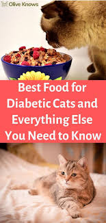 In theory, fat content can be moderate, but you may want to start out with a low fat option if your cat needs to lose weight. Best Food For Diabetic Cats And Everything Else You Need To Know Oliveknows Diabetes Cat Diabetes Cat Care