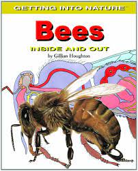 Bees Inside And Out Getting Into Nature Houghton Gillian 9780823942046 Amazon Com Books