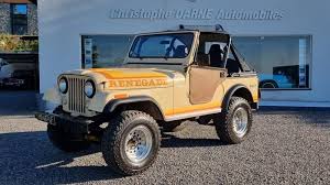 Image result for Sandstone Beige 1982 Fleet
