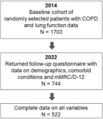 Image result for Lung Function Questionnaire
